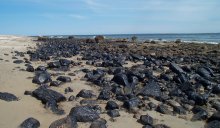 Heavily oiled rocky shoreline, Barney’s Joy, South Dartmouth, MA.