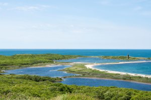 Cuttyhunk Island coastal habitat.