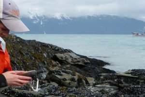 Sarah Allen assesses injuries to natural resources from her post in Alaska.