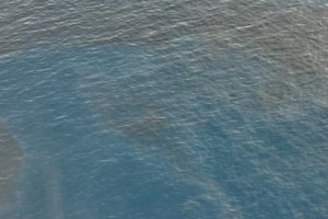 Dark oil photographed during a Coast Guard overflight on May 12, 2016.