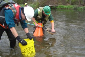 Scientists assess impacts to mussel shells from response-related boat traffic.