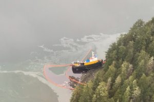 a boat is in the water on the side of a mountain with trees on it 